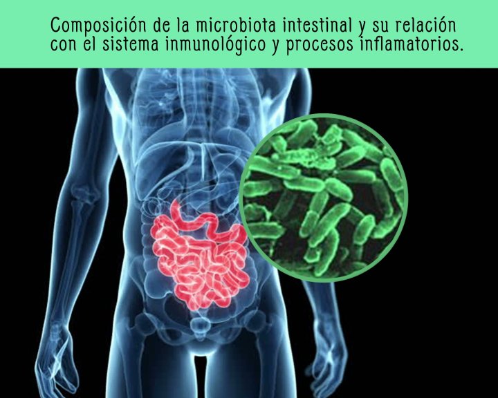 Especialista en microbiota intestinal barcelona